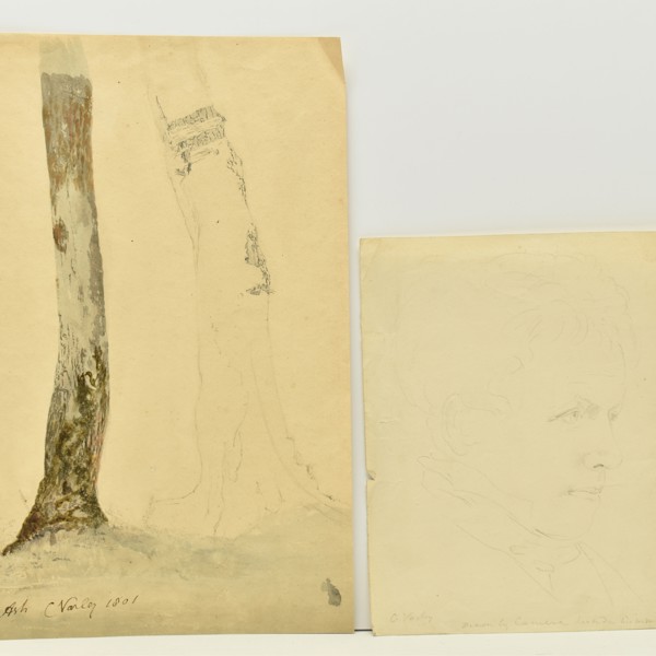 Cornelius Varley Botanical Pencil Sketch And Portrait Sold £4,600