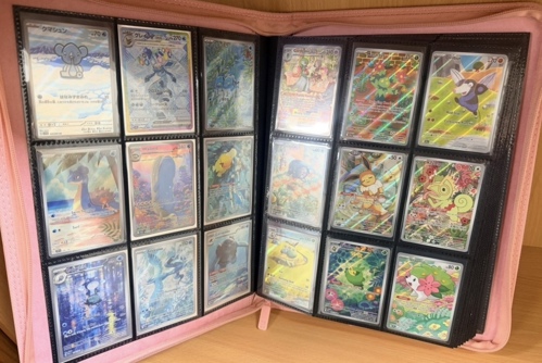 Inside the folder of Secret Rare cards.
