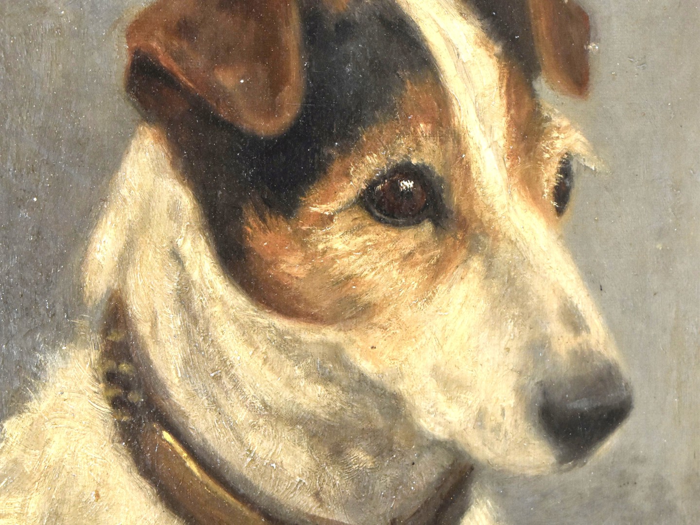 DOG