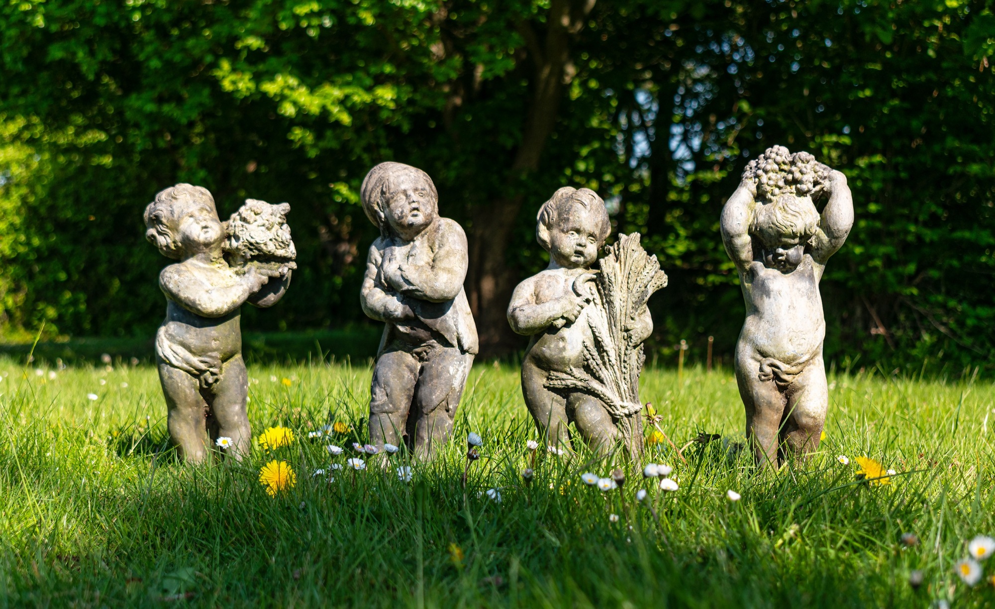 Garden Effects Page Banner