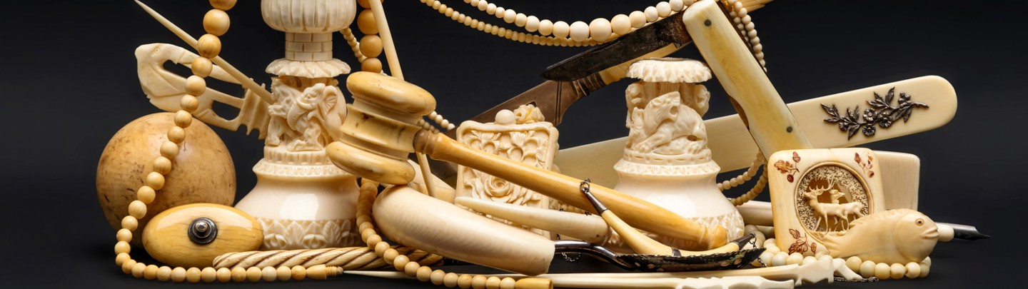 Ivory And CITES Page Banner